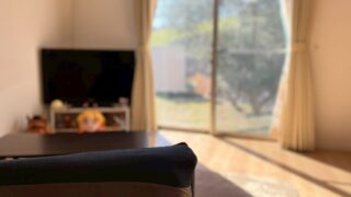 モーニング始めました。